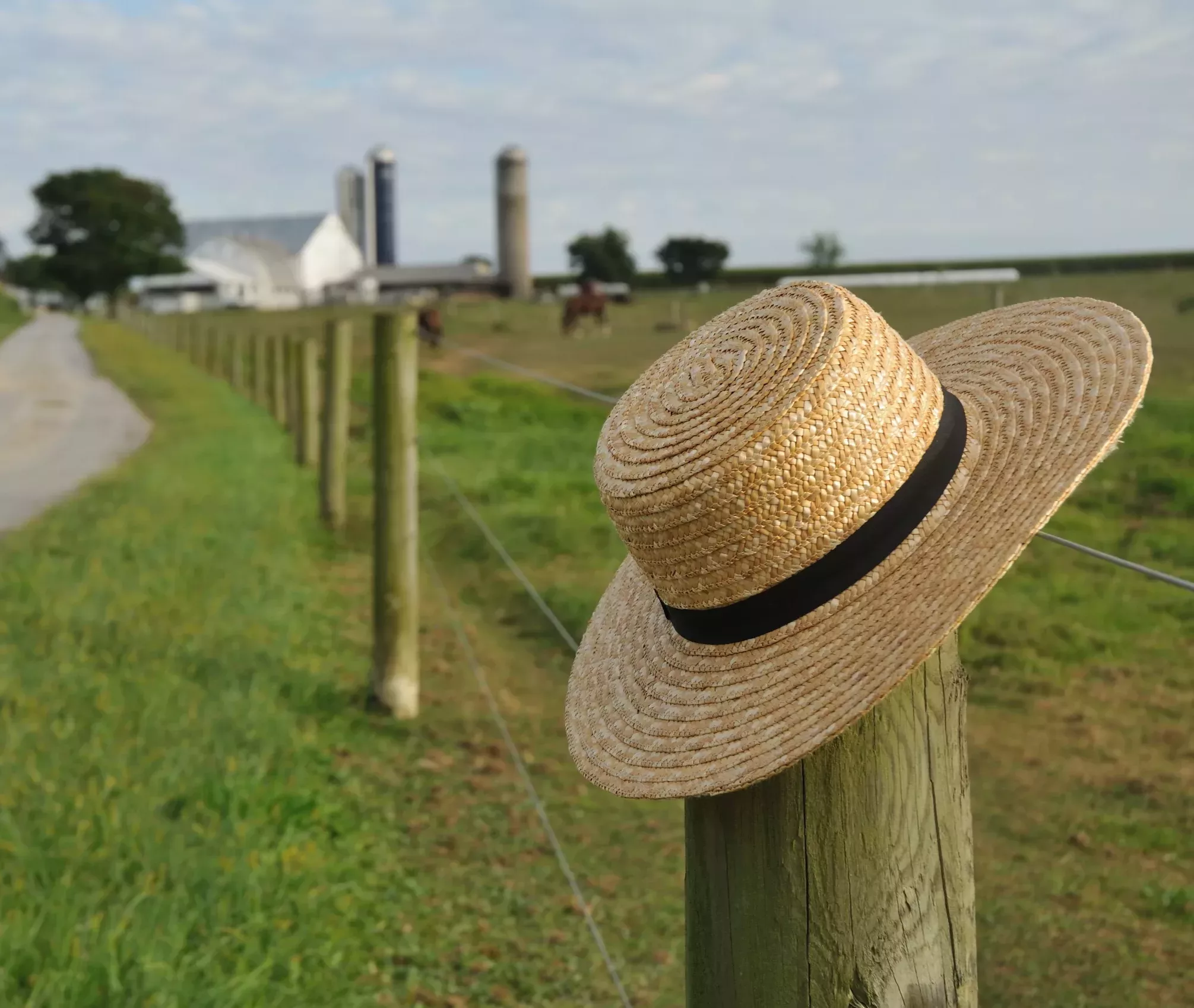 Douglas Daily Dispatch, 1929-02-24 | Arizona Memory Project, image size:2011x1698