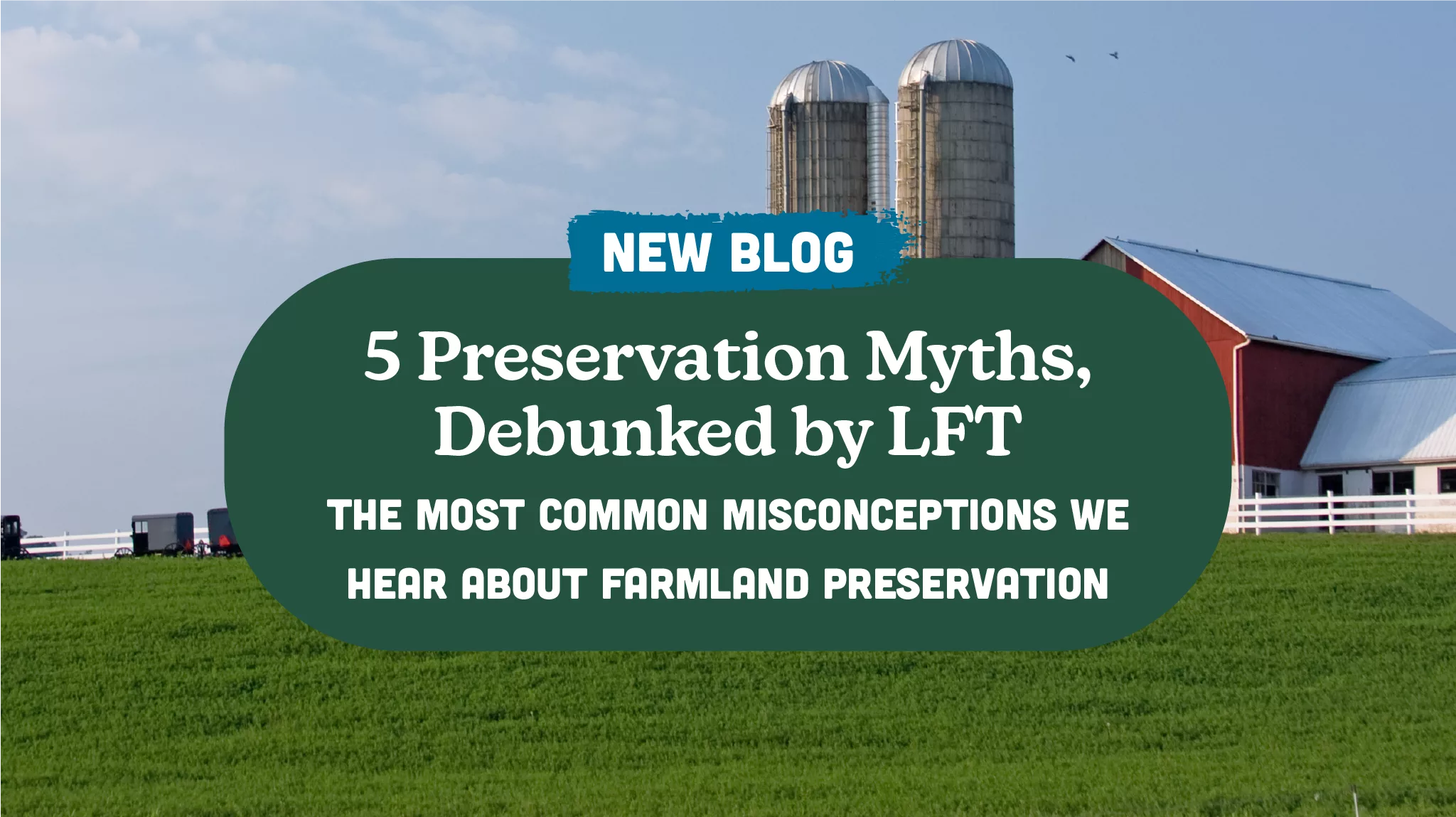 5 Preservation Myths, Debunked by LFT