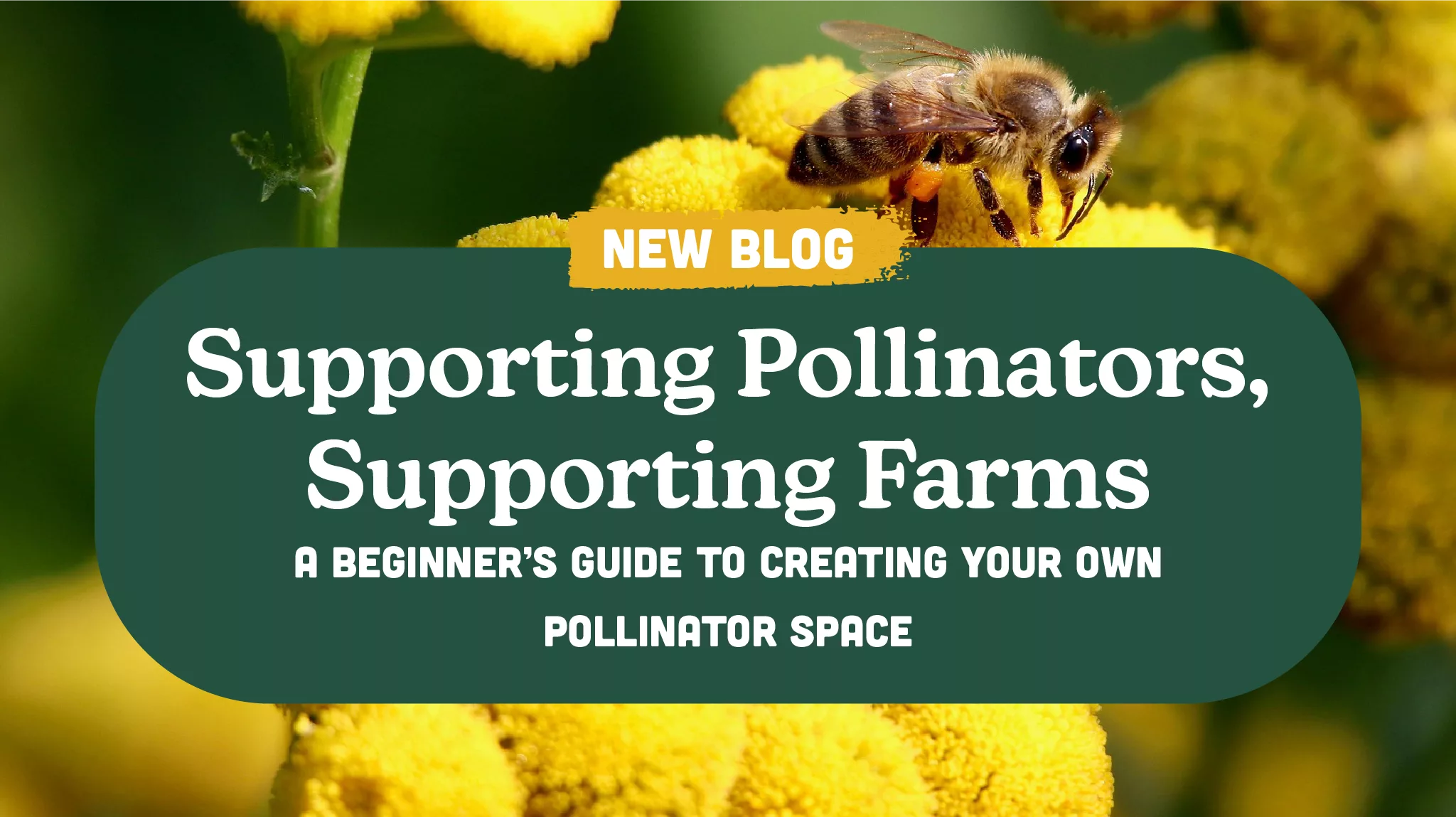 Supporting Pollinators, Supporting Farms