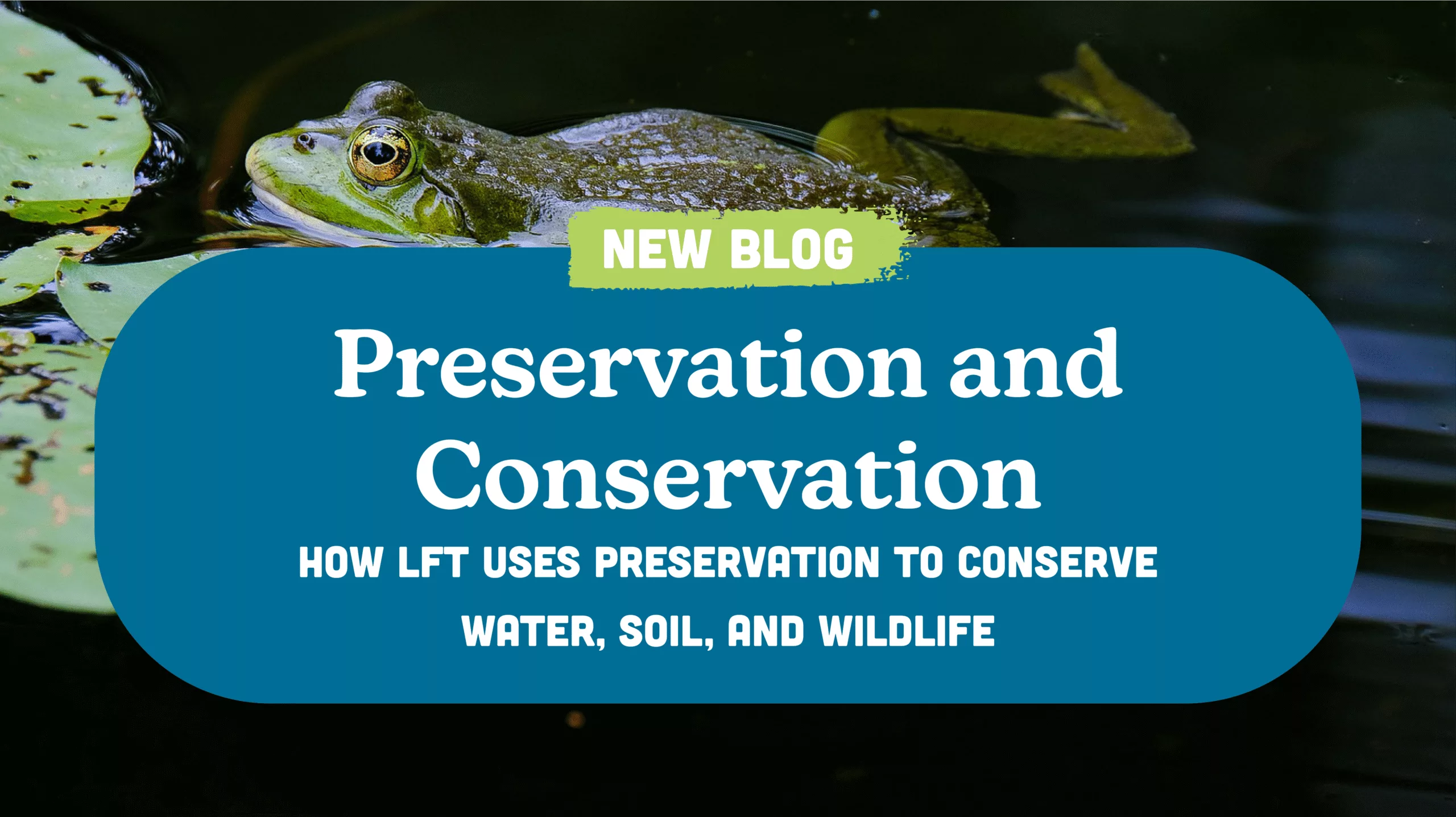 Preservation and Conservation