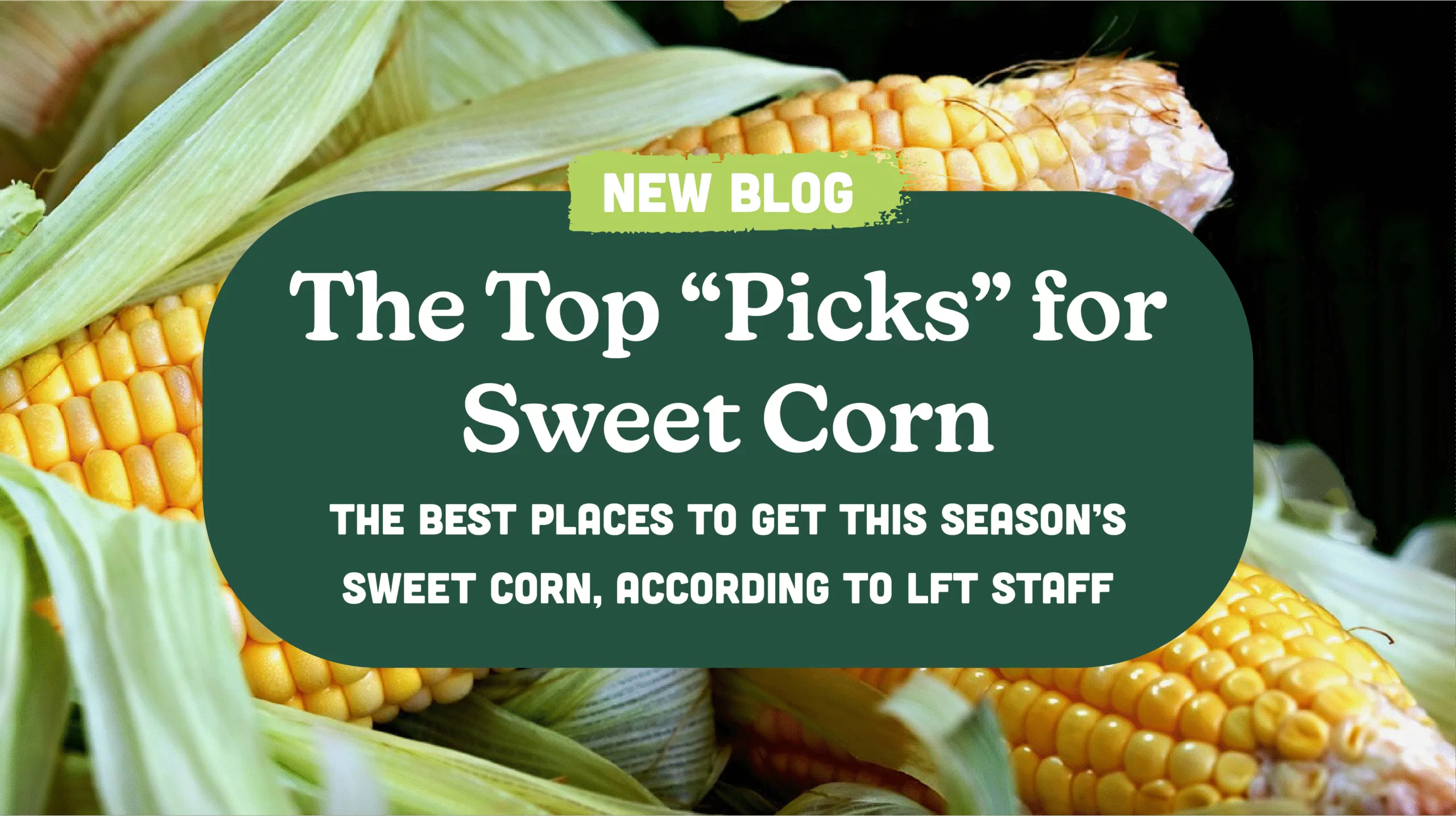 The Top “Picks” for Sweet Corn