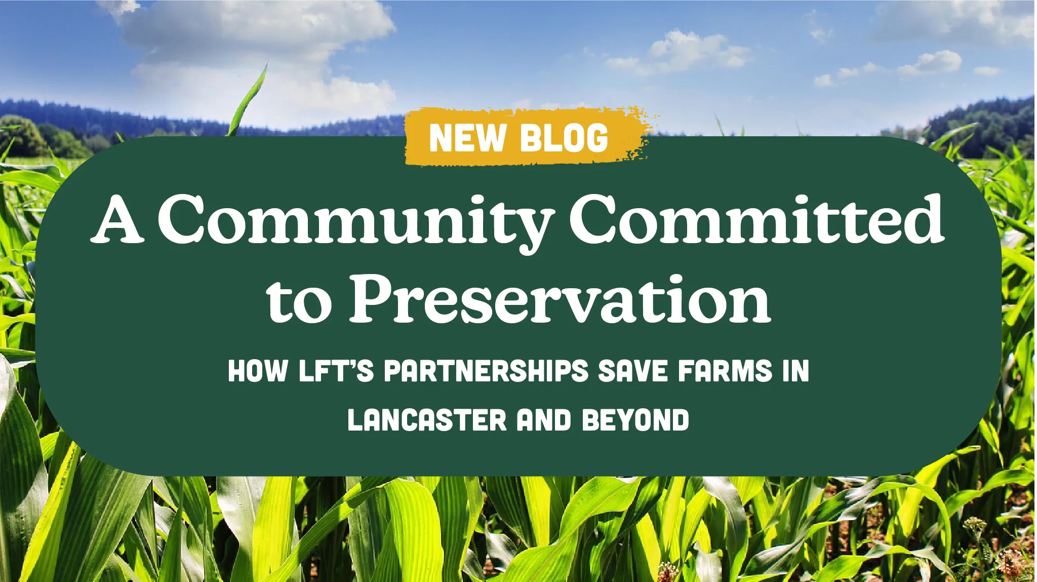 A Community Committed to Preservation