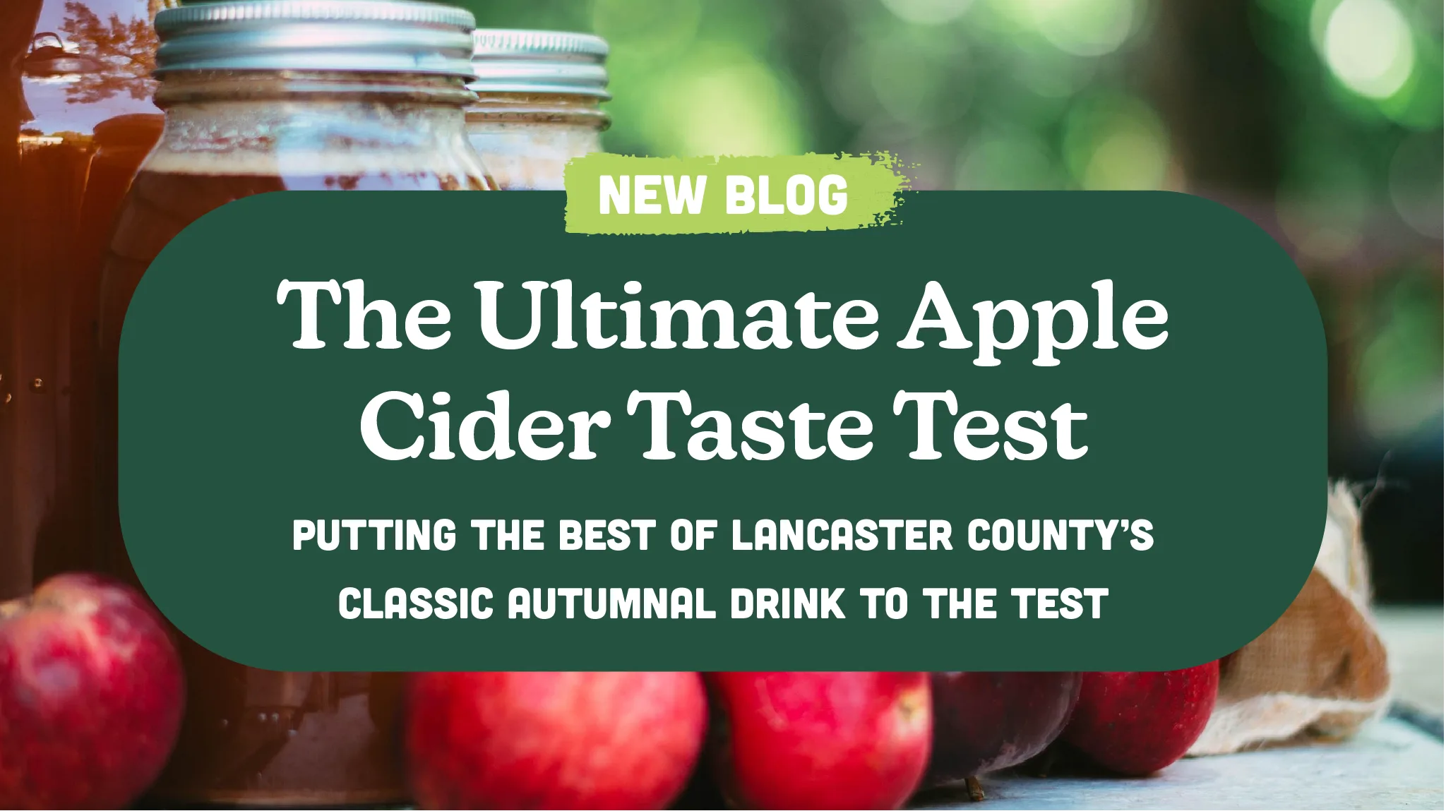 The Ultimate Apple Cider Taste Test