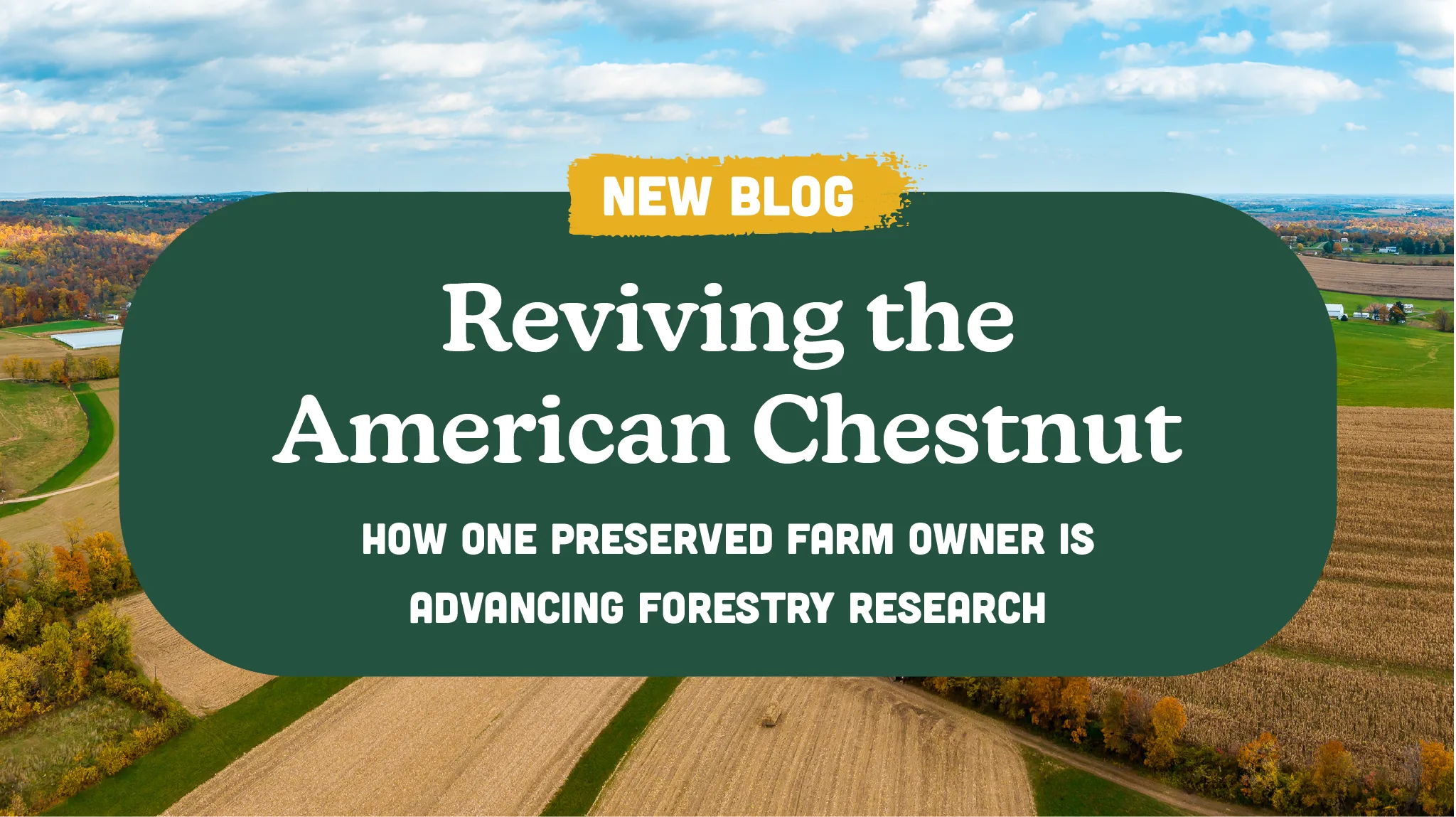Reviving the American Chestnut