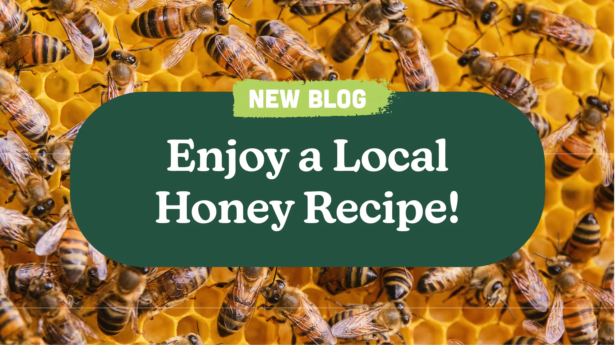 Enjoy a Local Honey Recipe!