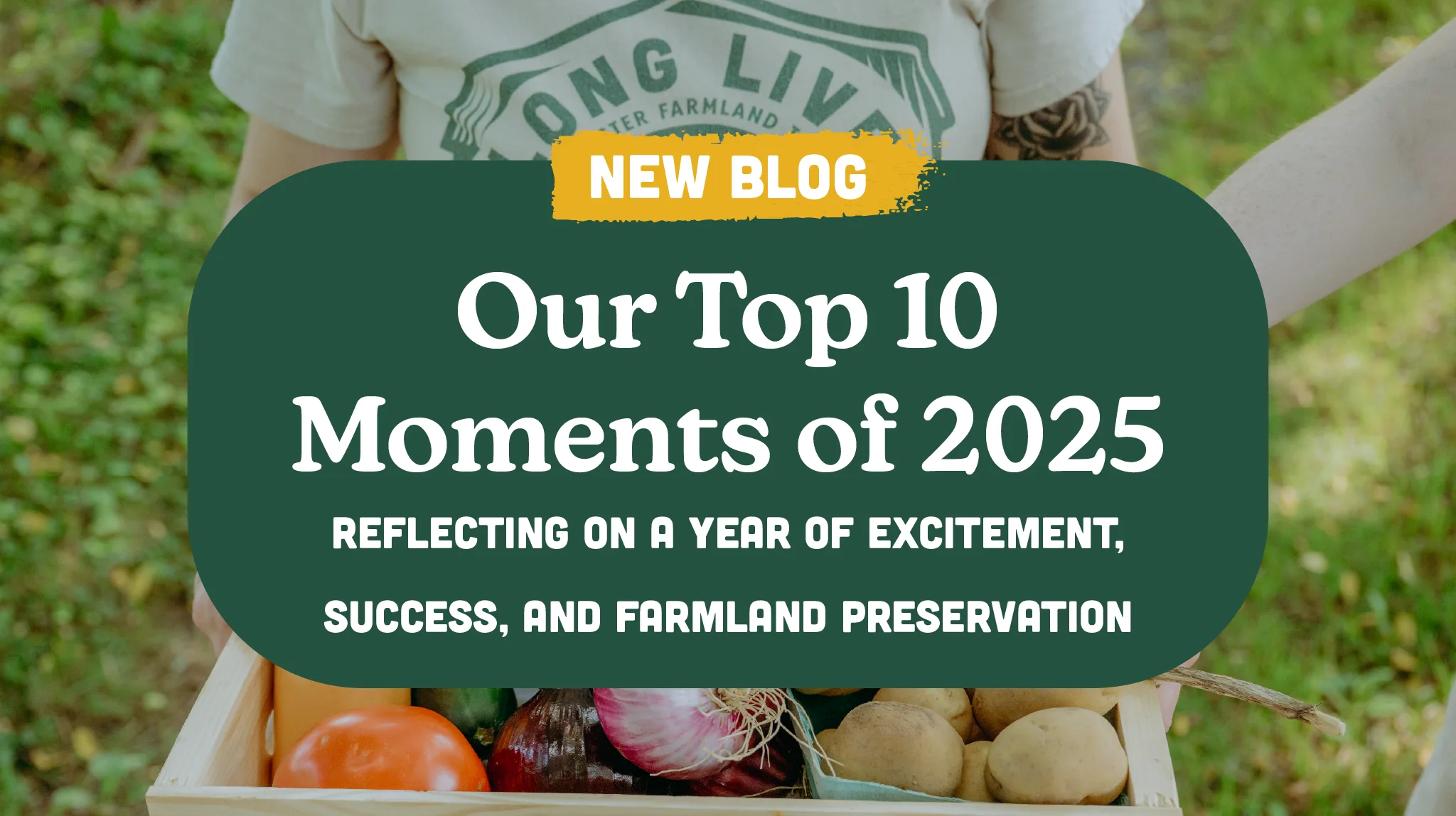 Our Top Ten Moments of 2025
