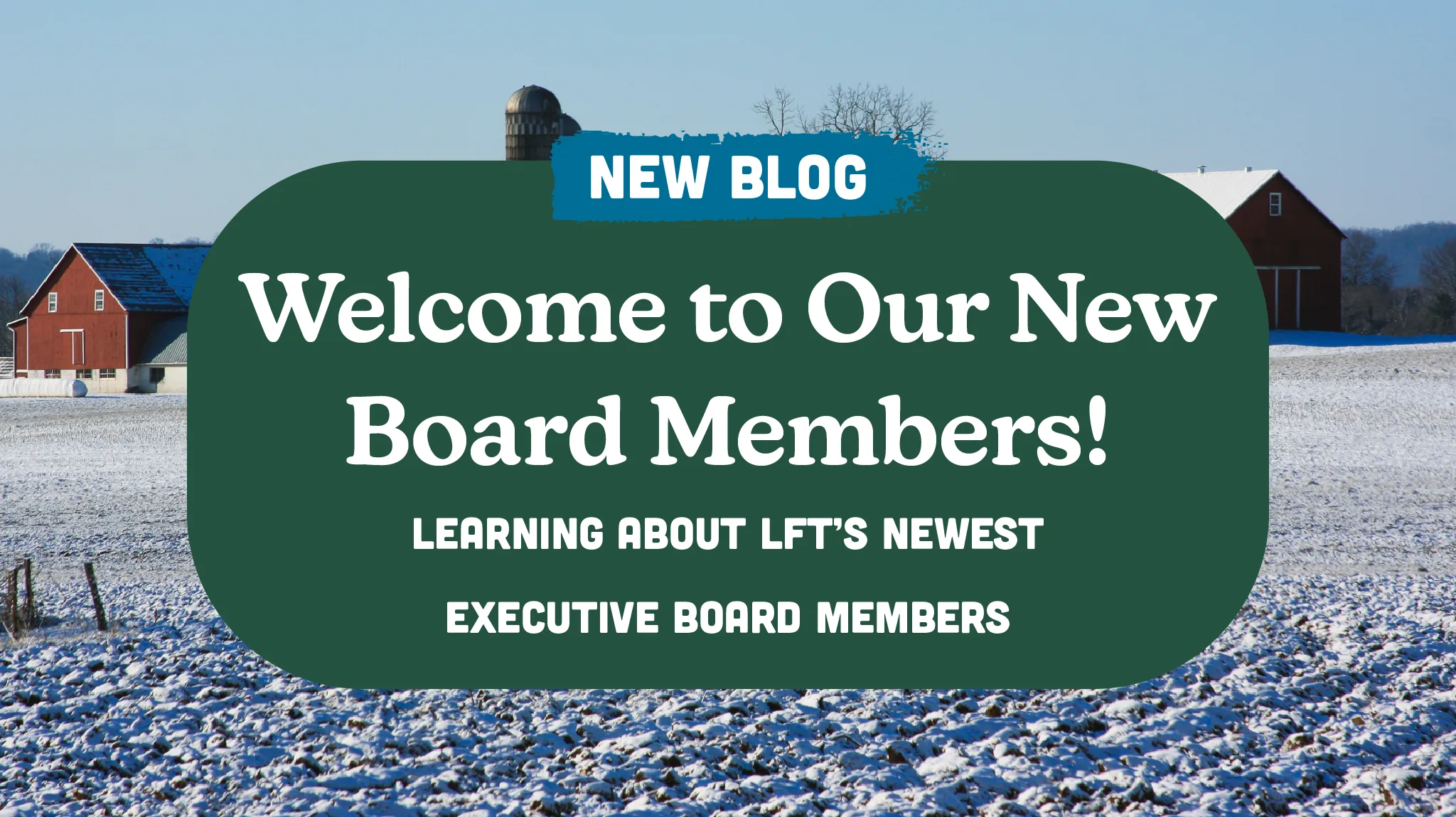 Meet Our New Board Members