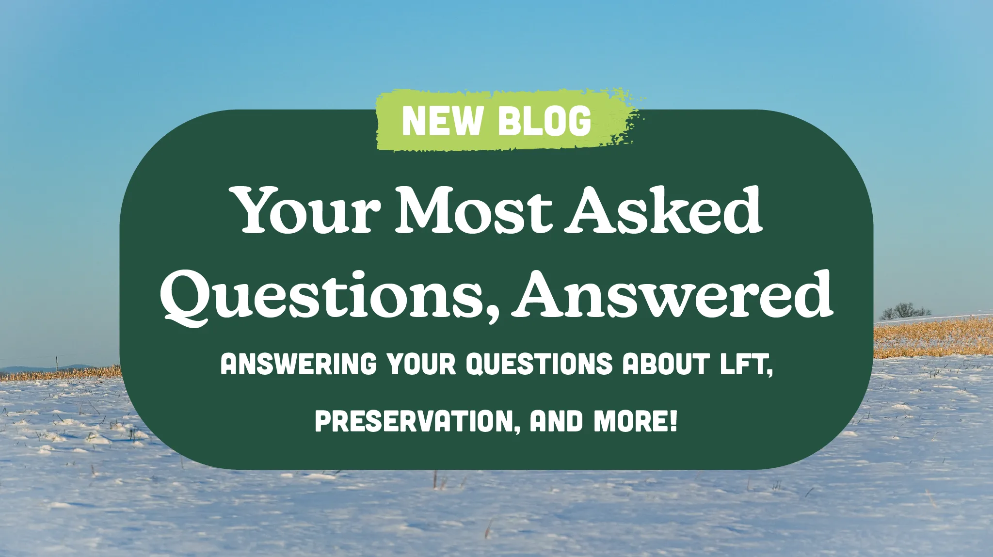 You’re Most Asked Questions, Answered