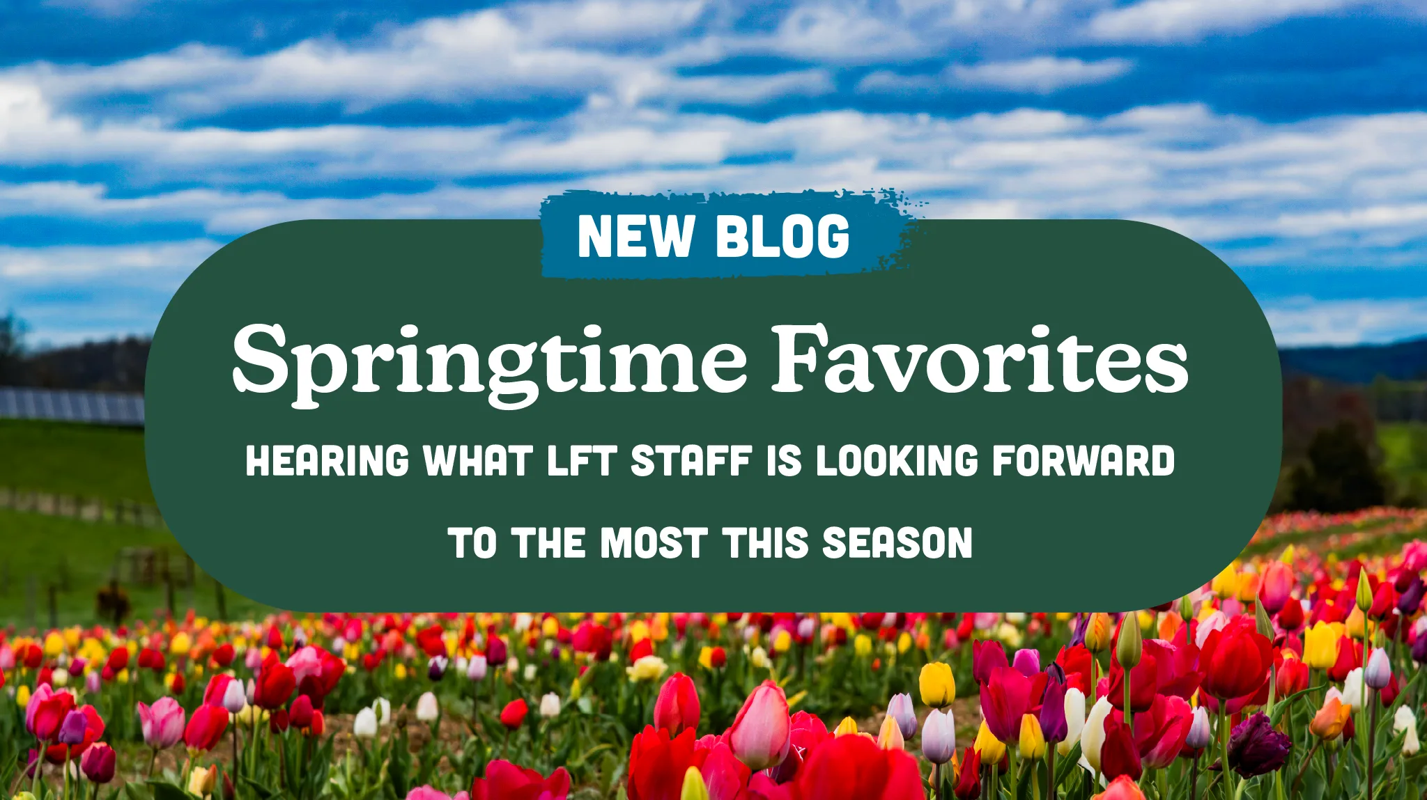 Springtime Favorites