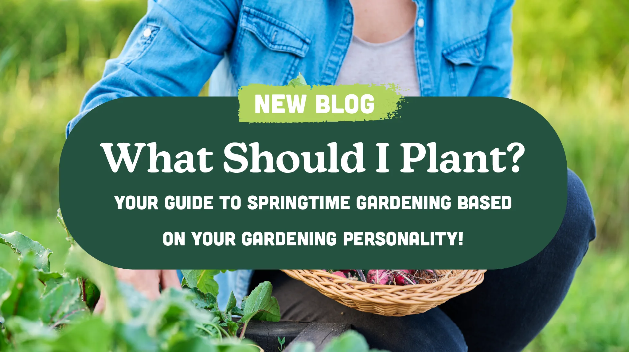 What Should I Plant This Spring? Personality Quiz