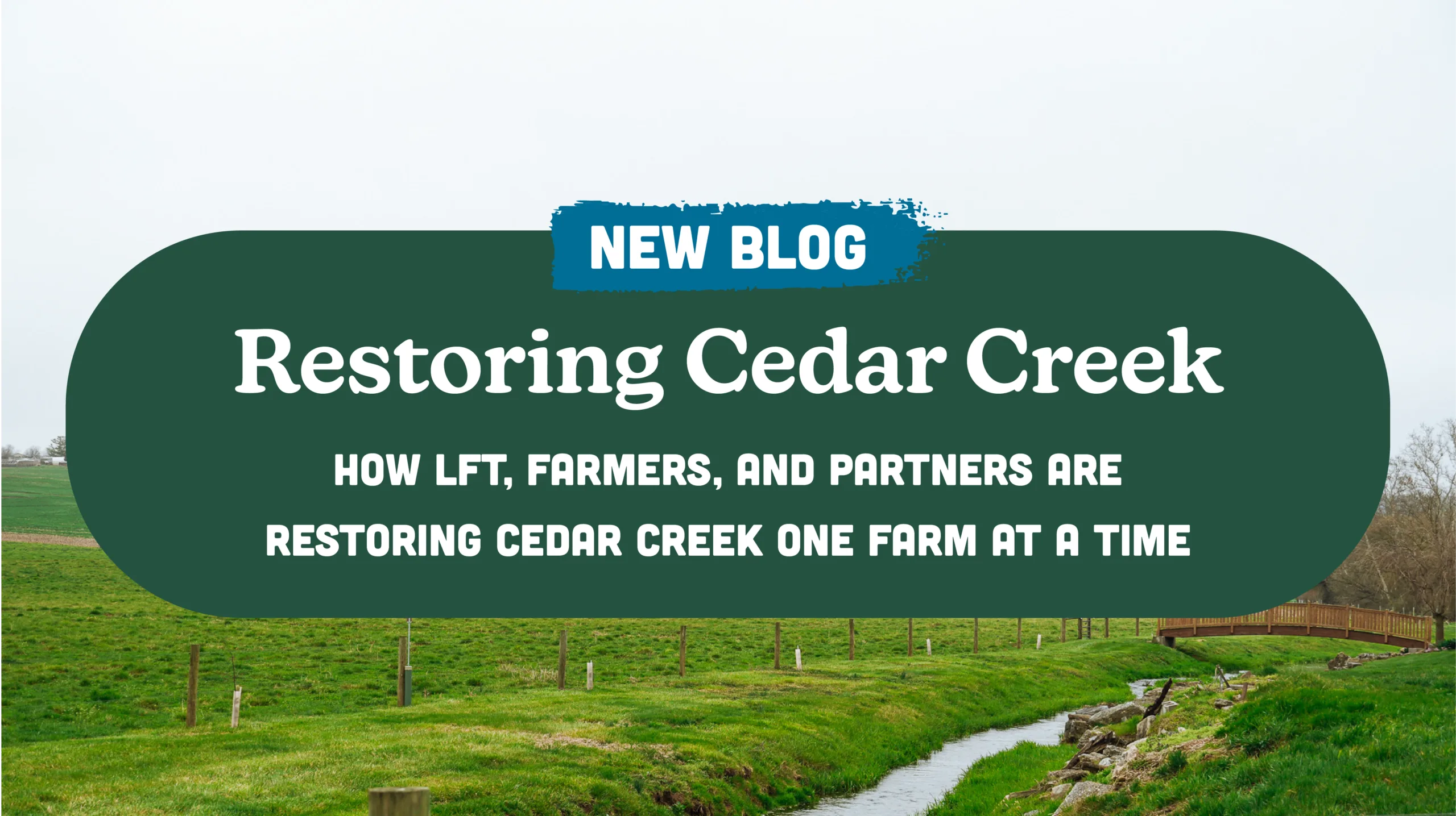 Restoring Cedar Creek