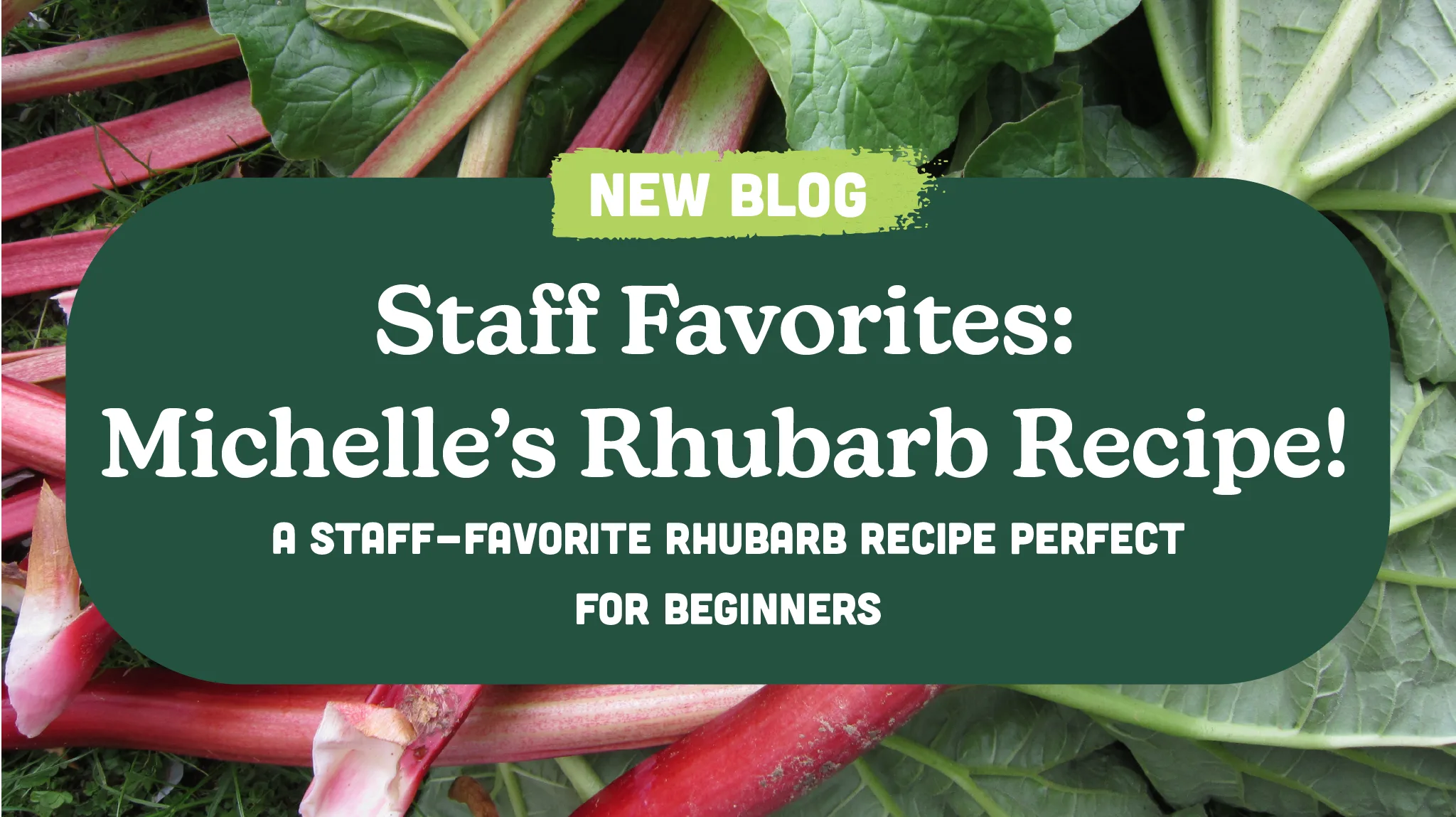 Staff Favorites: Michelle’s Rhubarb Recipe!