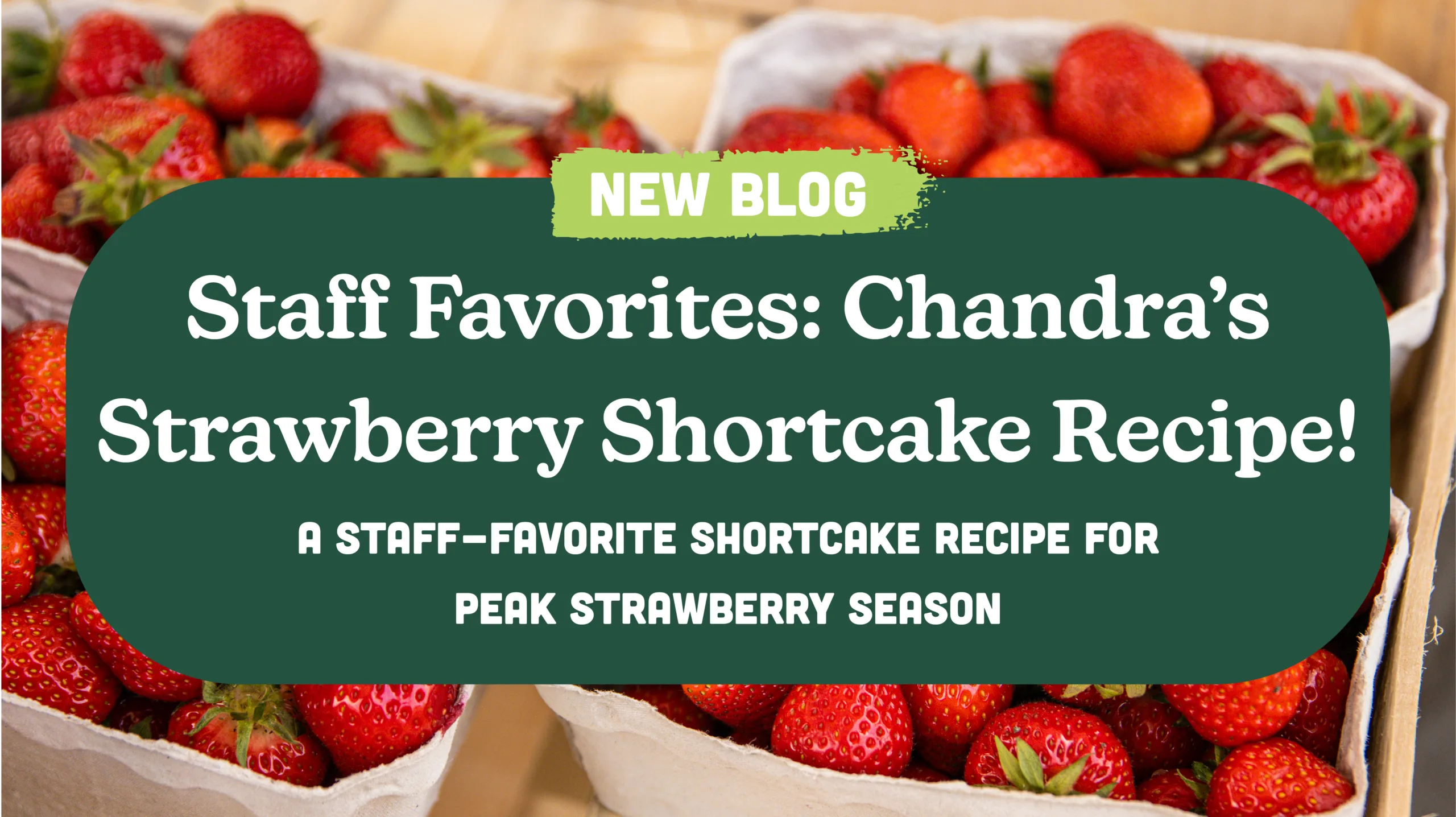 Staff Favorites: Chandra’s Strawberry Shortcake Recipe!