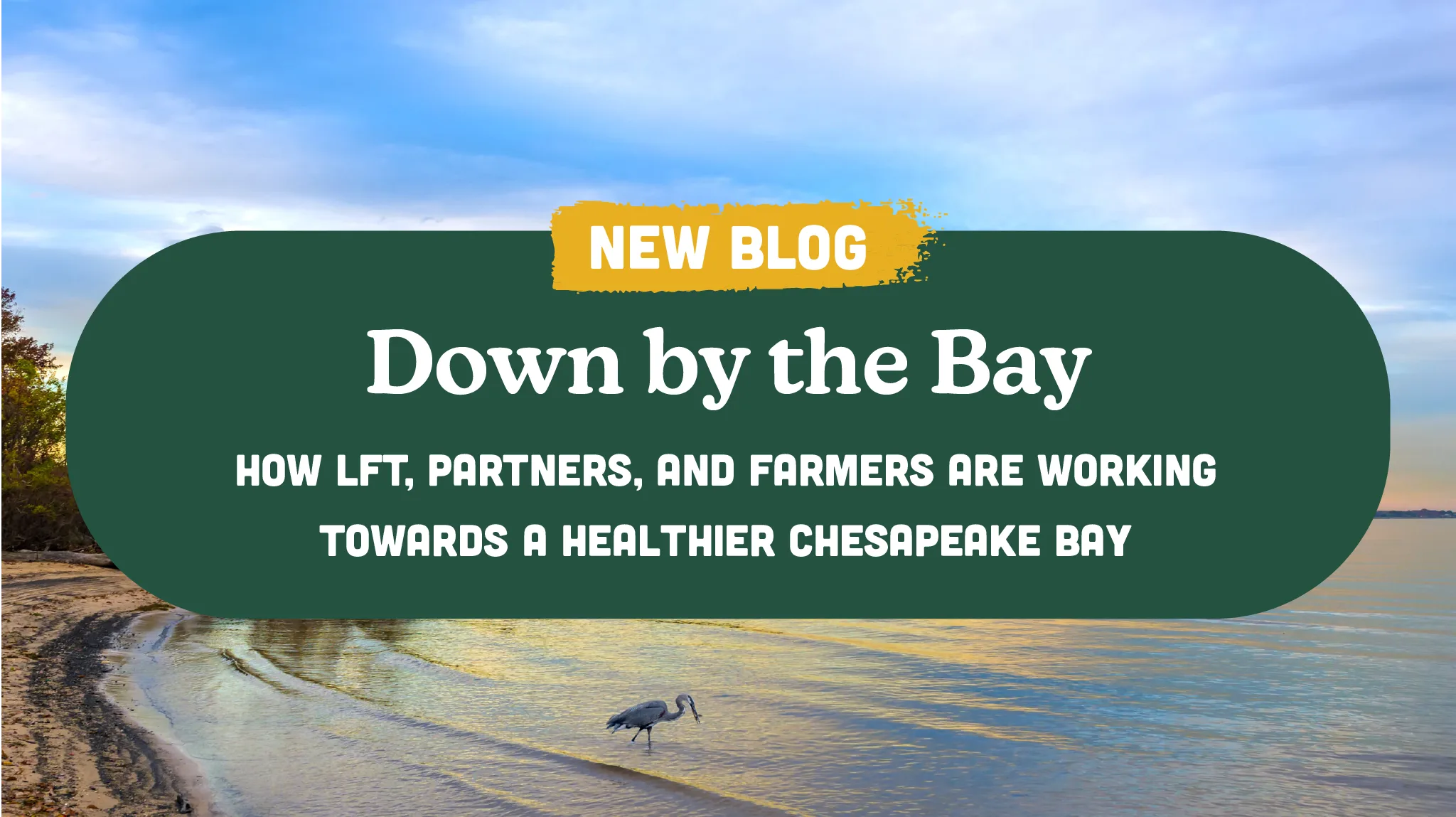 Down by the Bay