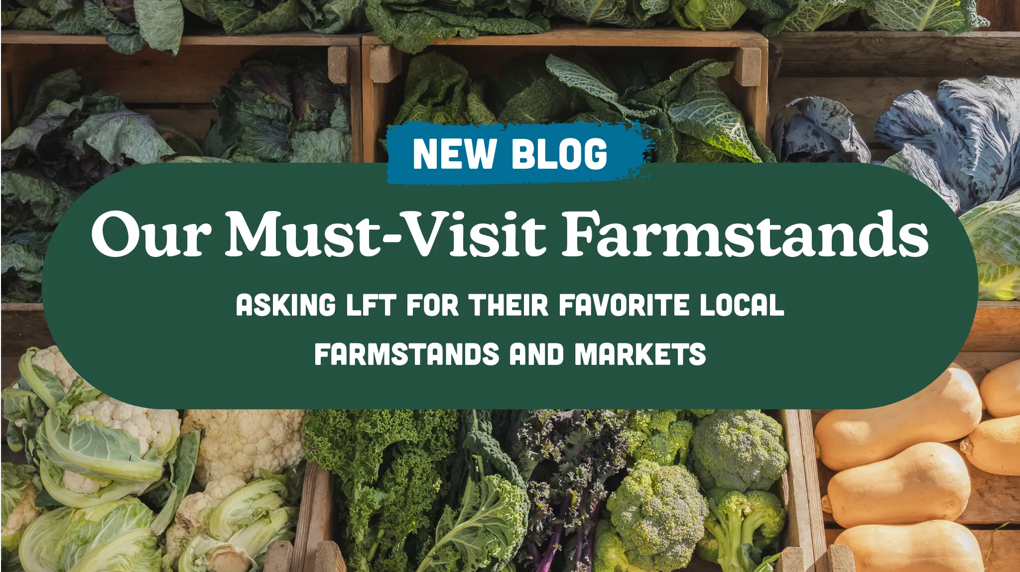 Our Must-Visit Farmstands