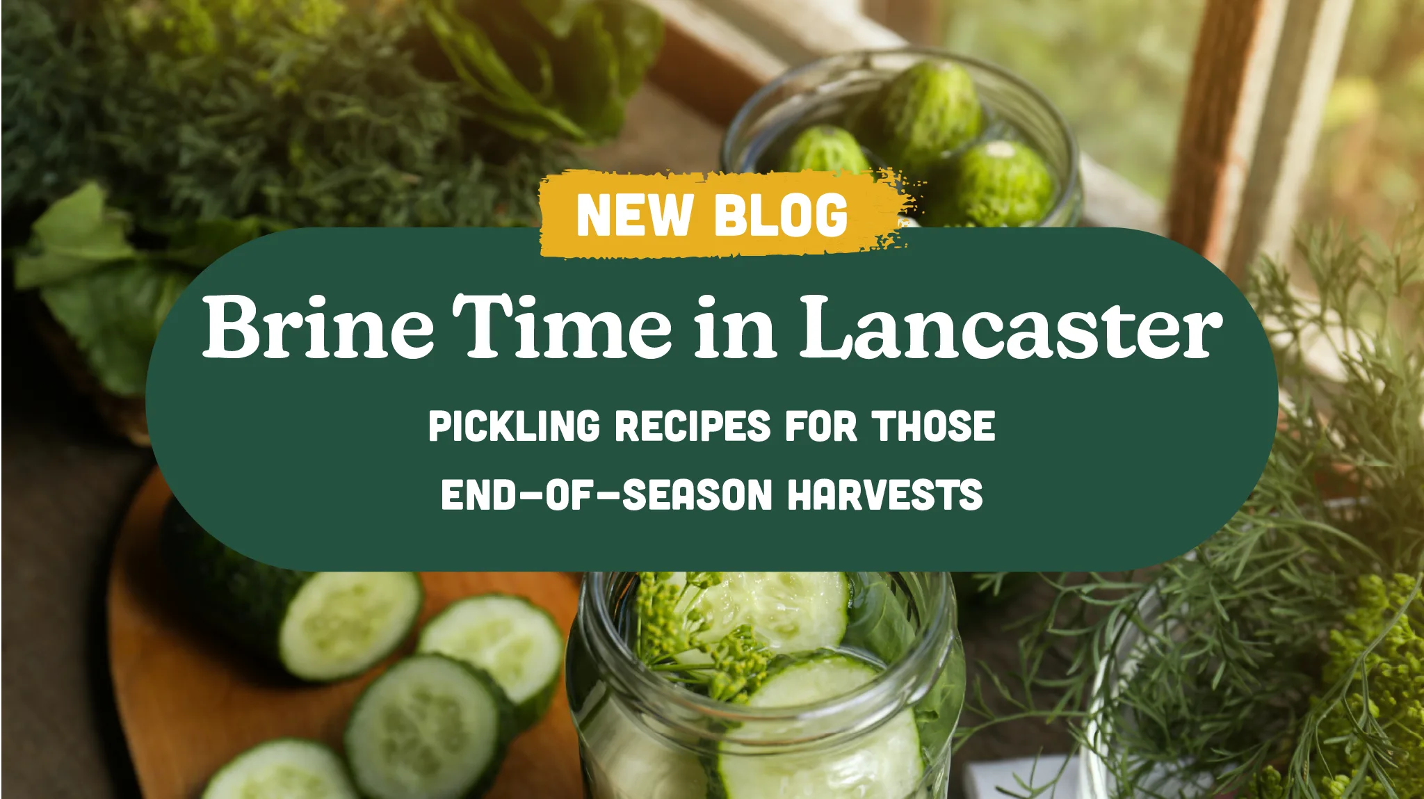 Brine Time in Lancaster
