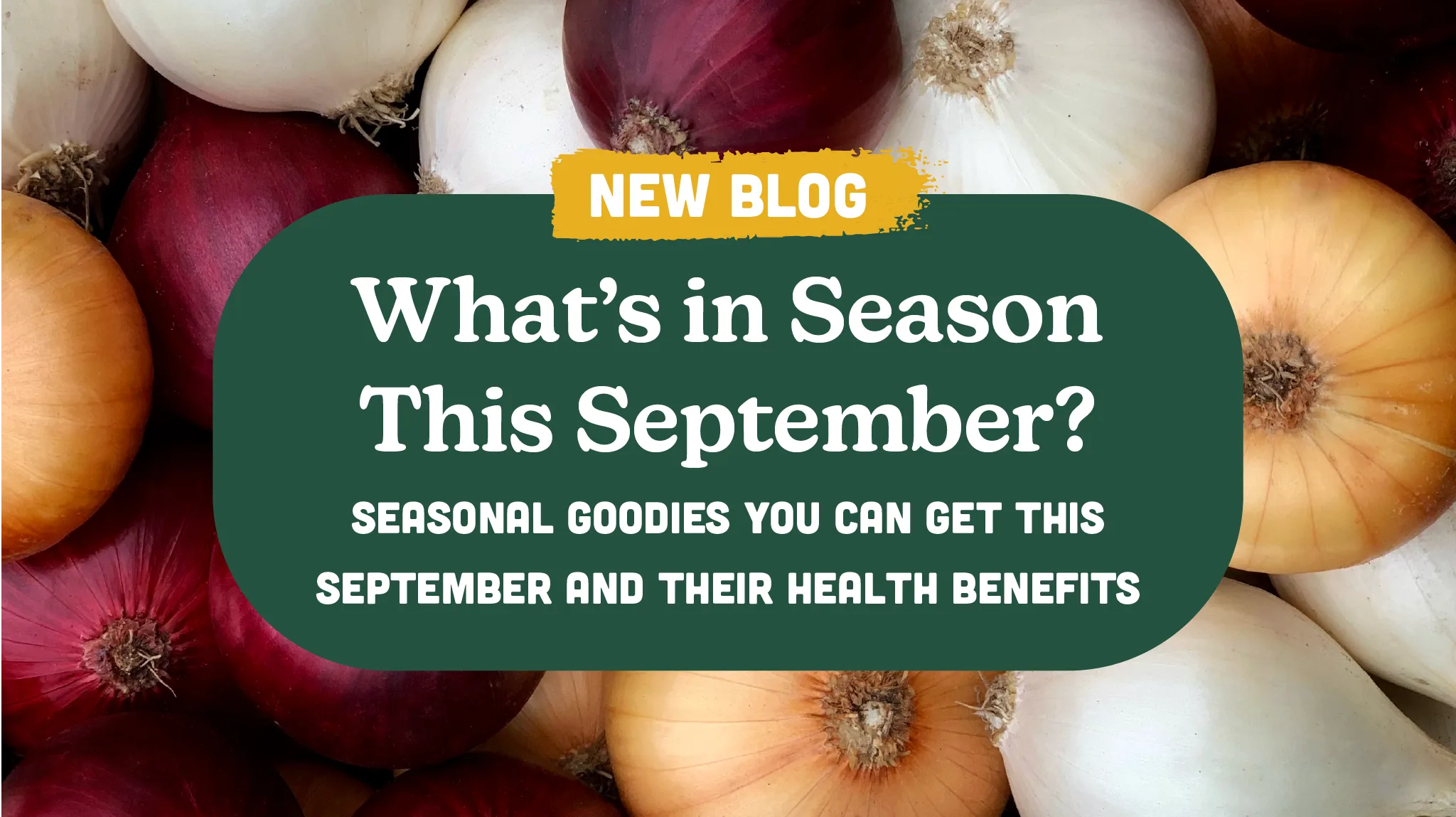 What’s in Season This September?