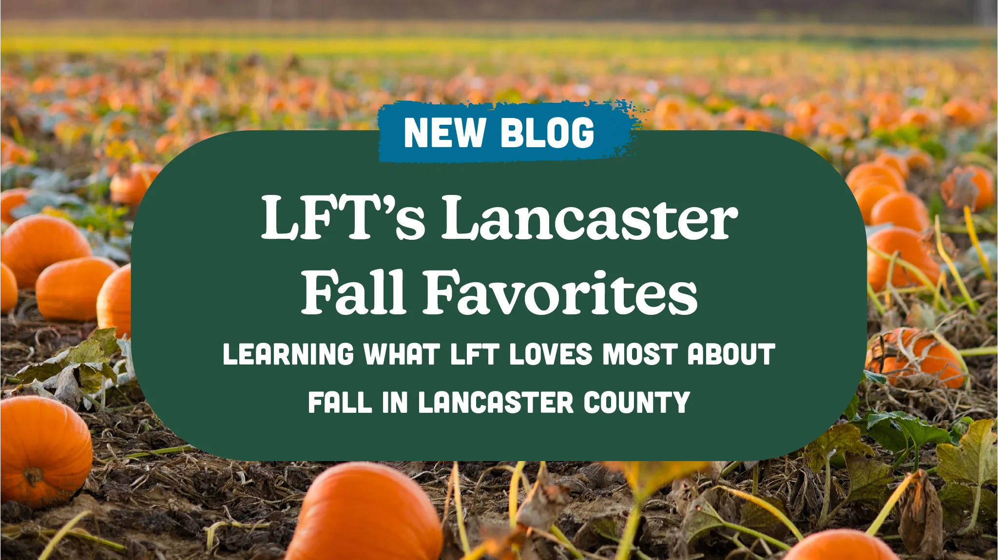 LFT’s Lancaster Fall Favorites